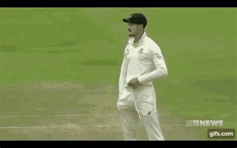 Cricket GIF - Cricket - Discover & Share GIFs