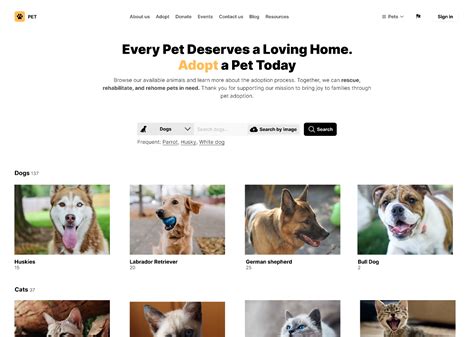 Pet adoption website | Figma