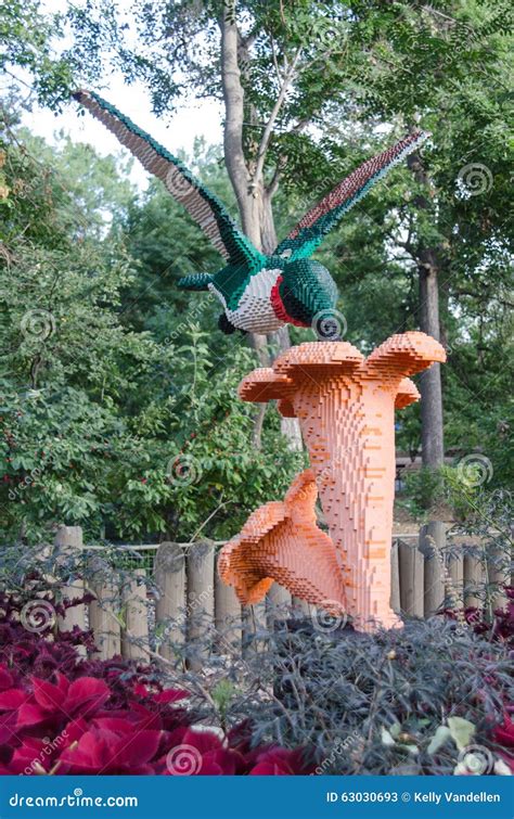 Hummingbird Lego Statue editorial stock photo. Image of animal - 63030693