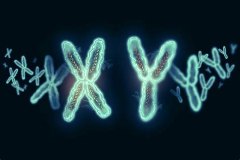 Geneticists: sex depends on more than XX or XY chromosome • Earth.com