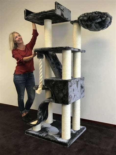 Cat Trees For Large Cats (A BUYERS GUIDE 2019) - Cat Tree UK