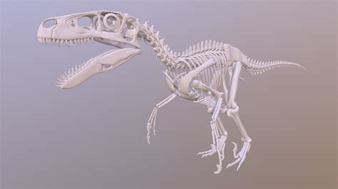 Utahraptor Skeleton - Download Free 3D model by MithosKuu (@lordmithos ...