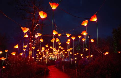 Lightscape holiday light display returns to San Antonio Botanical ...