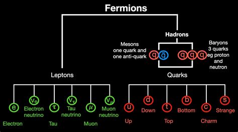 Fermions quarks and leptons -the building blocks of our universe - The ...