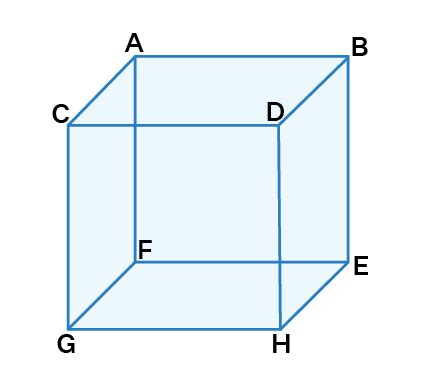 Skew Lines - Definition, Meaning, Formula, Examples