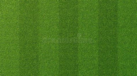 Green Grass Texture for Sport Background. Detailed Pattern of Green ...