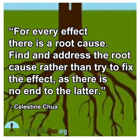 Quotes about Root causes (69 quotes)