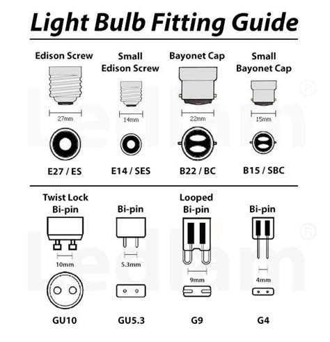 Lightbulb fitting guide : r/coolguides