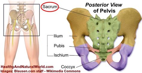 Sacrum Pain (Sacroiliac Joint Pain): The Most Effective Home Treatments