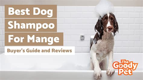 5 Best Dog Shampoo For Mange (February 2020) | TheGoodyPet