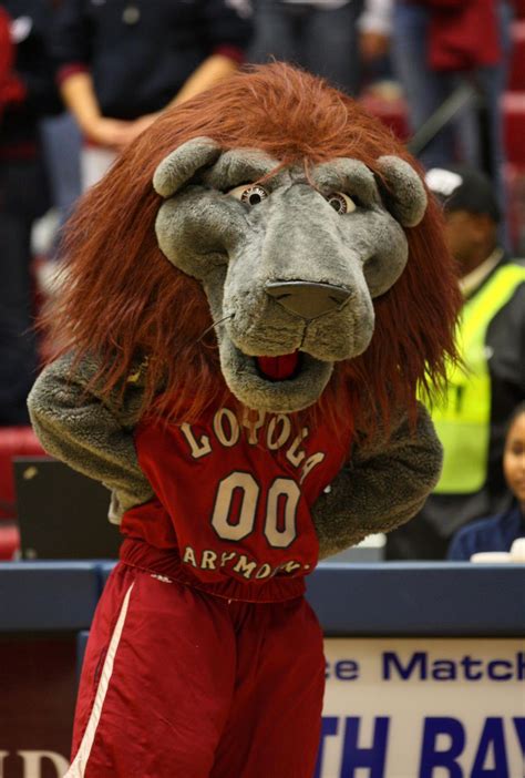 Loyola Marymount Lions mascot, Iggy the Lion | Mascot, Team mascots ...