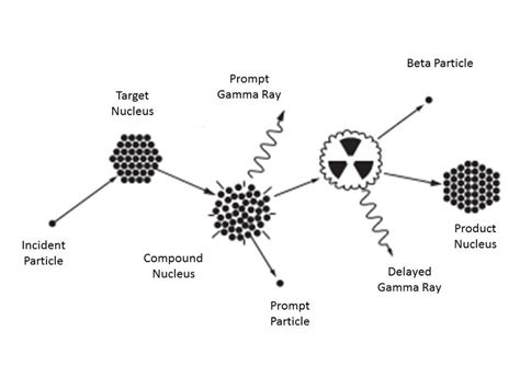 Neutron Activation Analysis diagram-From Glascock & Heff (2003 ...