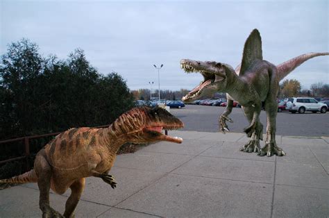 Spinosaurus vs carcharodontosaurus by stark002 on DeviantArt