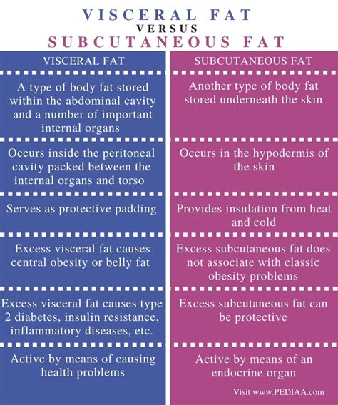 What is the Difference Between Visceral and Subcutaneous Fat - Pediaa.Com