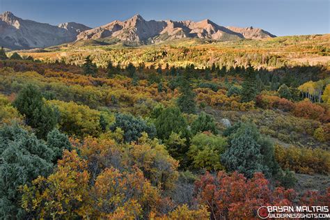 Dallas Divide Fall Colors