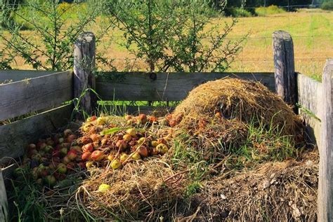 Recommended Composting Materials – Gardening Code