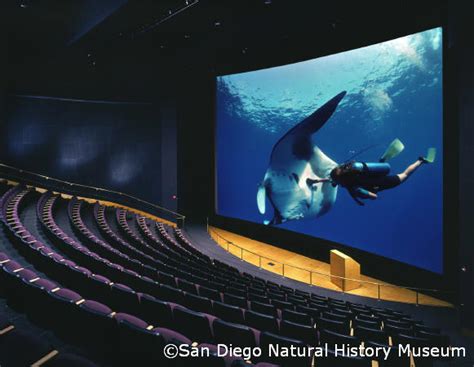 San Diego Natural History Museum - TourGuideTim Reveals San Diego!