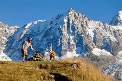 Hiking buddies in Chamonix #hiking #camping #outdoors #nature #travel # ...