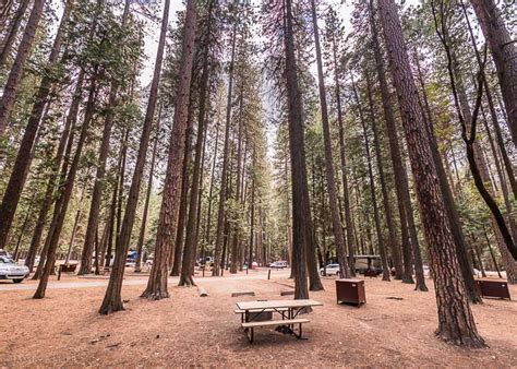 Upper Pines Campground, Yosemite Valley • James Kaiser