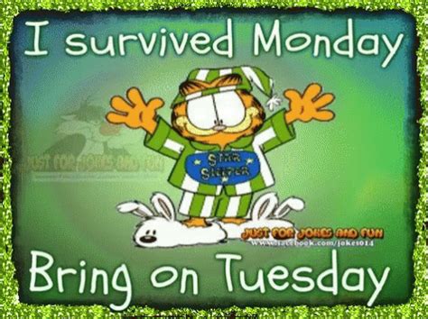 Tuesday Good Morning GIF - Tuesday Good Morning Garfield - Discover ...