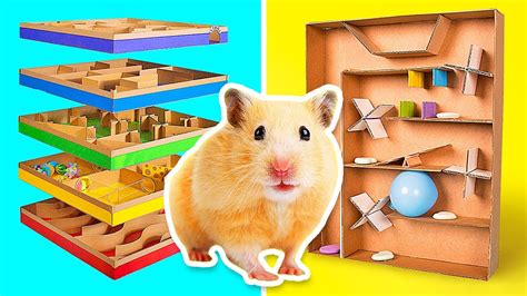 Diy hamster maze - qusttotal