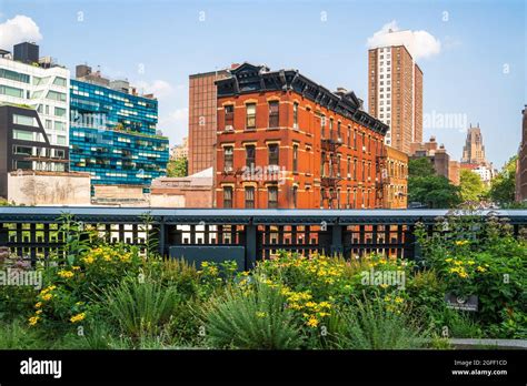 Scene from High Line Park in New York City Manhattan Stock Photo - Alamy