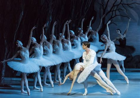 Synopsis of Tchaikovsky's "Swan Lake" Ballet