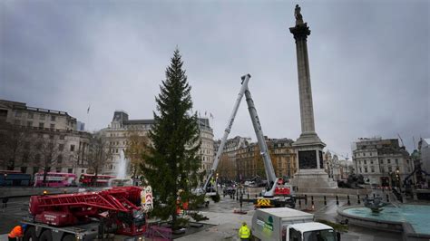 Trafalgar Square Christmas tree: Annual gift to London from Norway ...