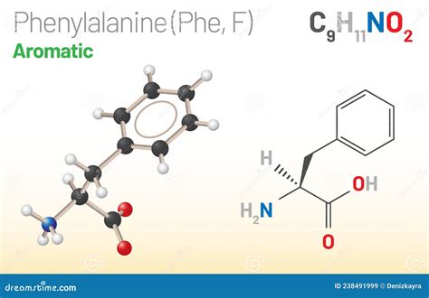 Phenylalanine. Phe C9H11NO2. Î±-Amino Acid. Structural Chemical Formula ...