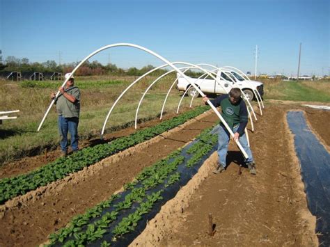 Low Cost High Tunnel Construction - HighTunnels.org