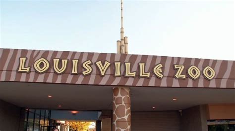 Louisville Zoo plans major, $180 million expansion - WDRB 41 Louisville ...