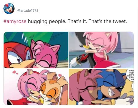 and that's why we love Amy Rose! : r/SonicTheHedgehog