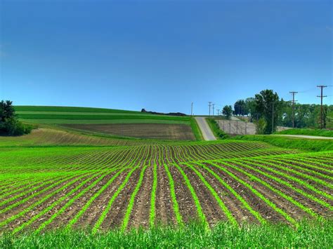 Free Spring Crop Fields Stock Photo - FreeImages.com