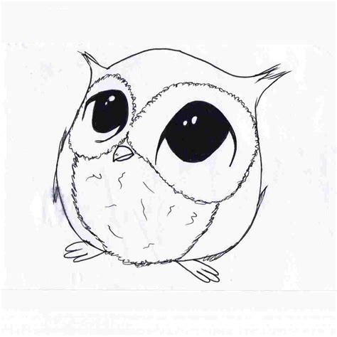 46+ Sketch Easy Owl Background | basnami