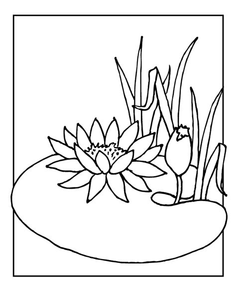 Lily coloring pages to download and print for free