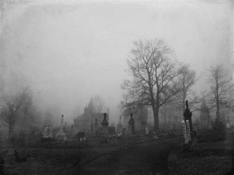 Gray Misty Spooky Fog Photograph by Gothicrow Images | Fine Art America