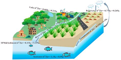 Water | Free Full-Text | Review on Zinc Isotopes in River Systems ...