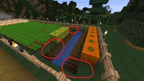 How to get pumpkin seeds minecraft