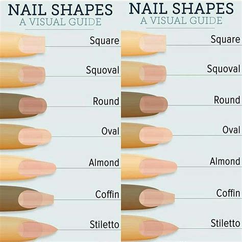 Pinterest• @erikaltamedina | Fake nails shape, Types of nails shapes ...