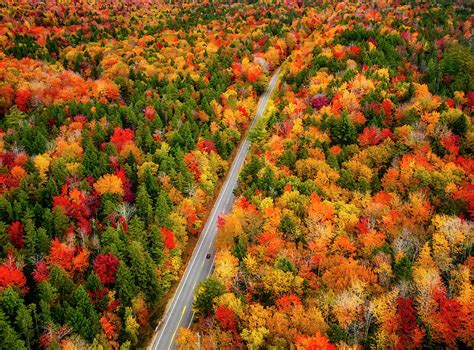 White Mountains Fall Foliage 2025 - Leela Myrlene