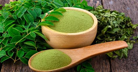 Moringa Powder vs. Matcha » Unlimited Recipes