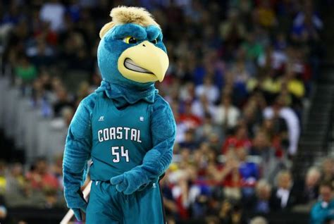 Coastal Carolina Chanticleers: 5 Fast Facts