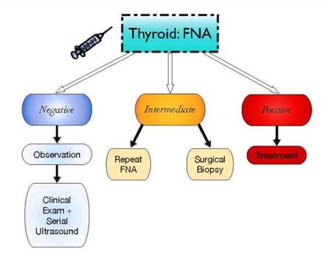 FNA — Thyroid.Doctor & Parathyroid.Doctor