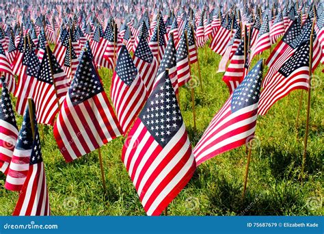 Fourth of July Field of Flags Stock Image - Image of flag, july: 75687679