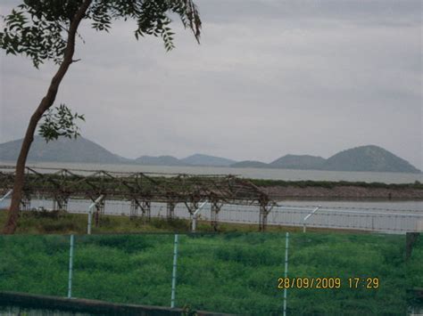 Amazing - Chilika Lake, Puri Traveller Reviews - Tripadvisor