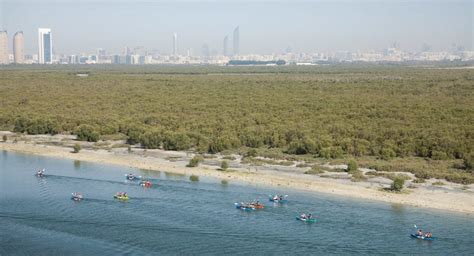 Mangrove Kayaking Abu Dhabi | Eastern Mangroves Hotel & Spa