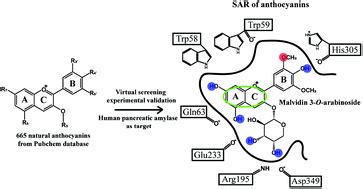 Structure-based design of human pancreatic amylase inhibitors from the ...