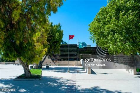 260 Hatay Archaeology Museum Stock Photos, High-Res Pictures, and ...