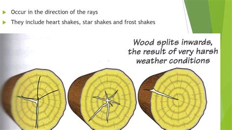 Timber Defects Wood Technology CCC - YouTube