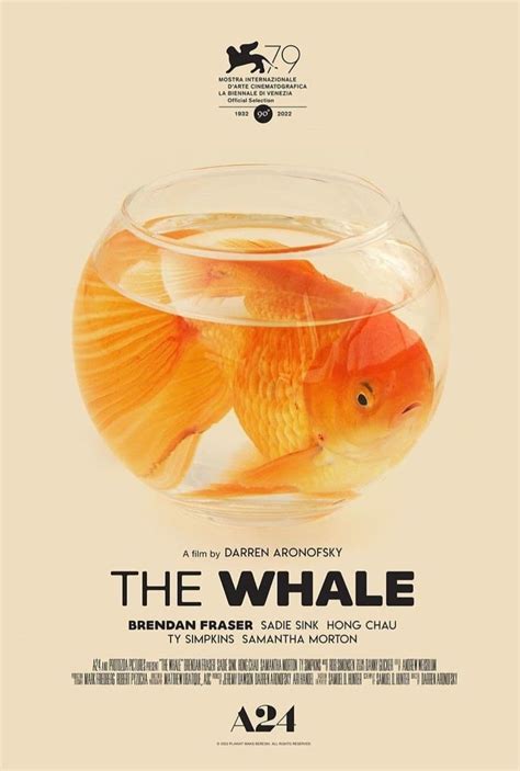 The Whale DVD Release Date | Redbox, Netflix, iTunes, Amazon